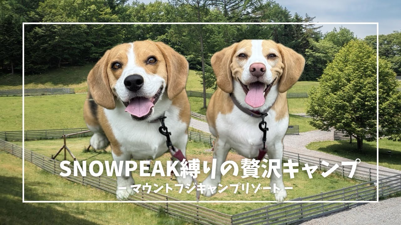 マウントフジキャンプリゾートで贅沢キャンプ