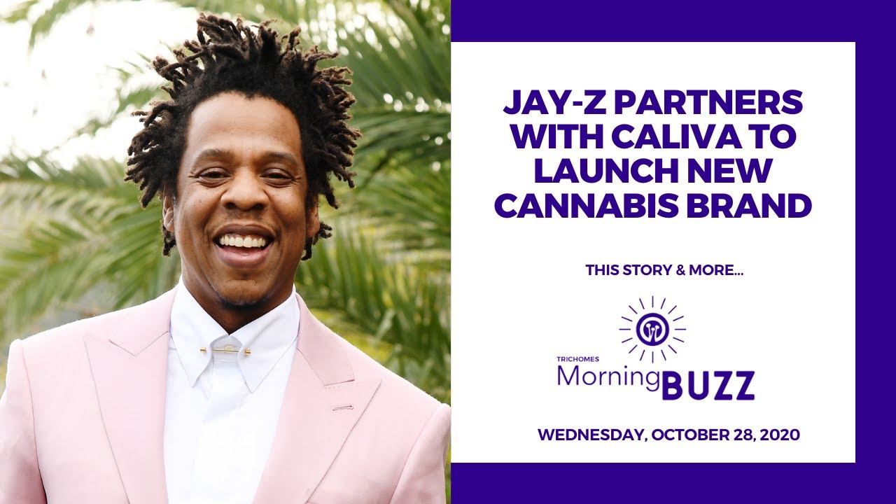 JAY-Z PARTNERS WITH CALIVA TO LAUNCH NEW CANNABIS BRAND | TRICHOMES Morning Buzz