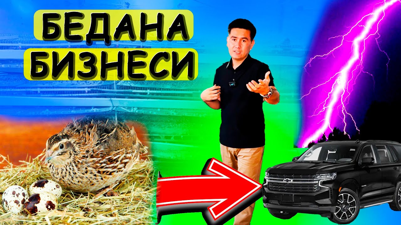 БЕДАНА БОҚИБ ЗЎР БЎЛИБ КЕТГАН АКАНИ БИЗНЕС СИРИНИ ЎРГАТДИ БЕДАНА БОҚИШ БИЗНЕСИ
