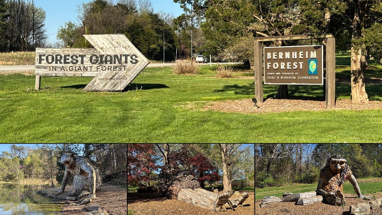 Discover the Artistic Wonders of Bernheim&rsquo;s Forest Giants.