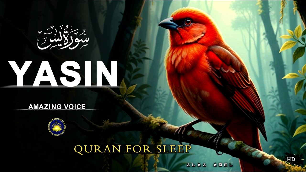 Surah Yaseen Full HD| Beautiful Recitation for Sleep & Relaxation |Heart Touching Voice by ALAA AQEL