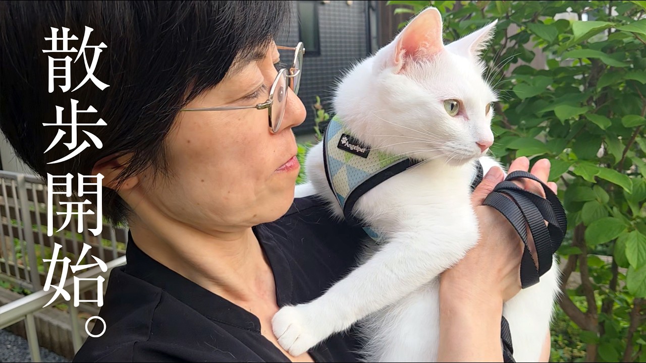 家猫が2年ぶりに外に出てみると・・・。