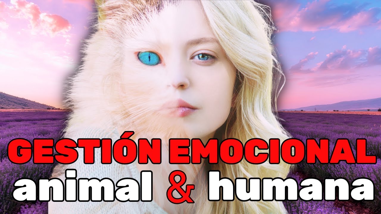 💚CÓMO viven las EMOCIONES animales y personas | INTELIGENCIA EMOCIONAL