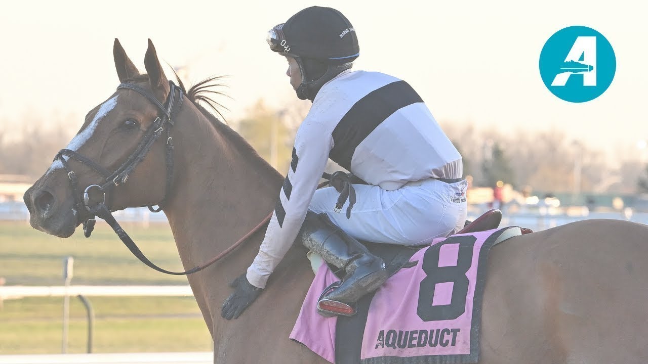 Talking Horses - March 14, 2026
