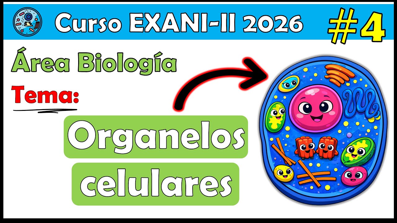 Curso EXANI II 2026 Biología Organelos celulares Eucariotas Parte 1 #4
