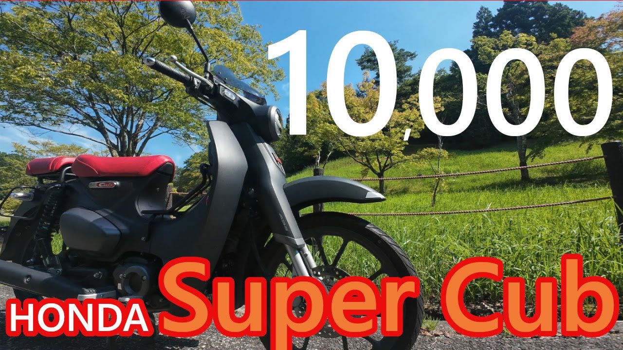 エンスト動画　super cub C125 JA58 入院となりました