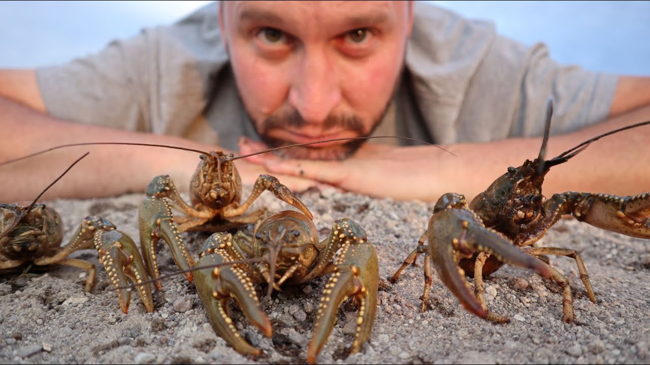 Crawdad Catch and Cook!  Idaho Crawfishing | DIY Crawfish Traps