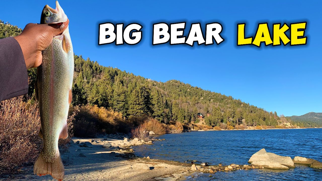 Fishing Big Bear with a Subscriber — Didn’t Expect This