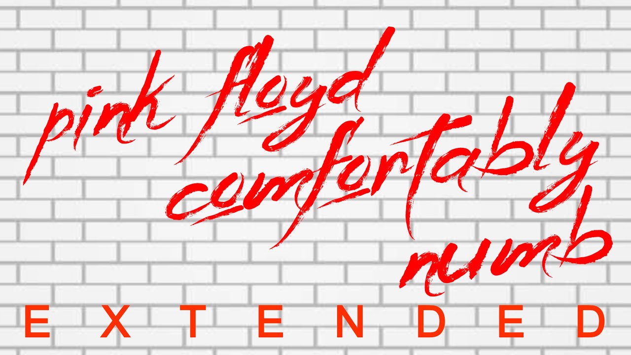 Pink Floyd | Comfortably Numb [Extended Version] #mashedrecords #pinkfloyd