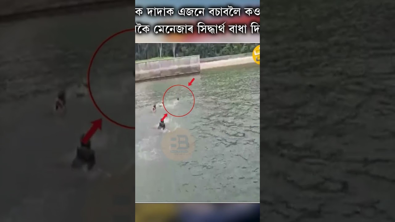 Zubeen Garg Singapore Accident Video