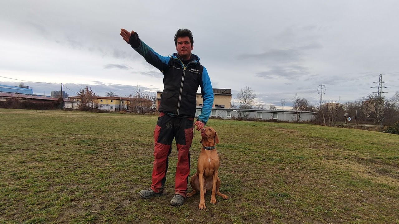 Učíme povel STOP - jak na to