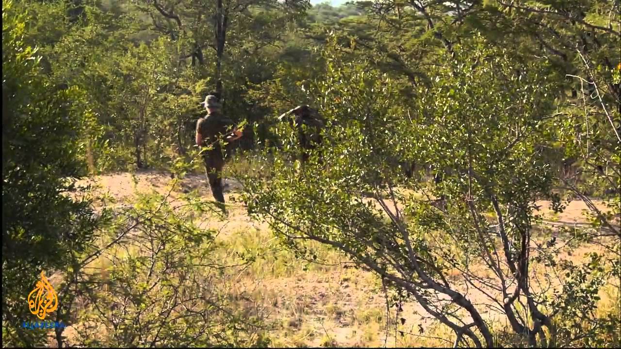 Featured Documentary - Wildlife Warzone - Episode 5: Suspicious activity