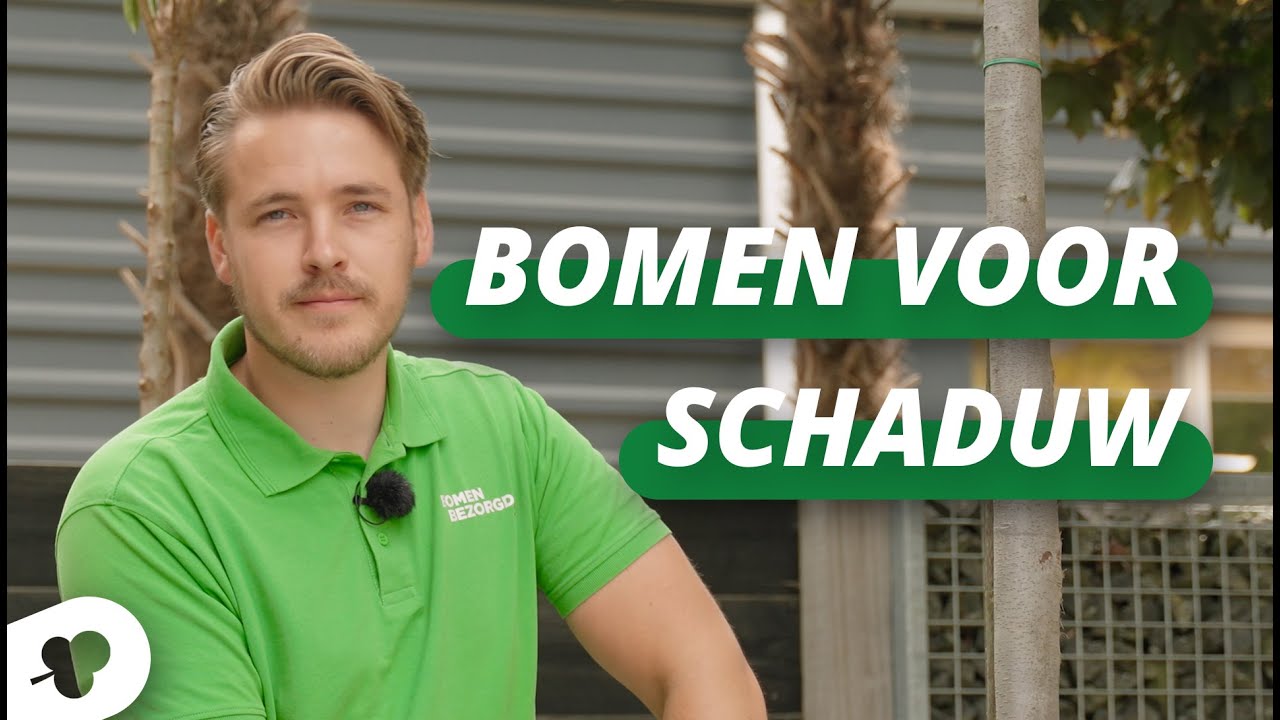 Bomen voor schaduw | BOMENTIPS #65