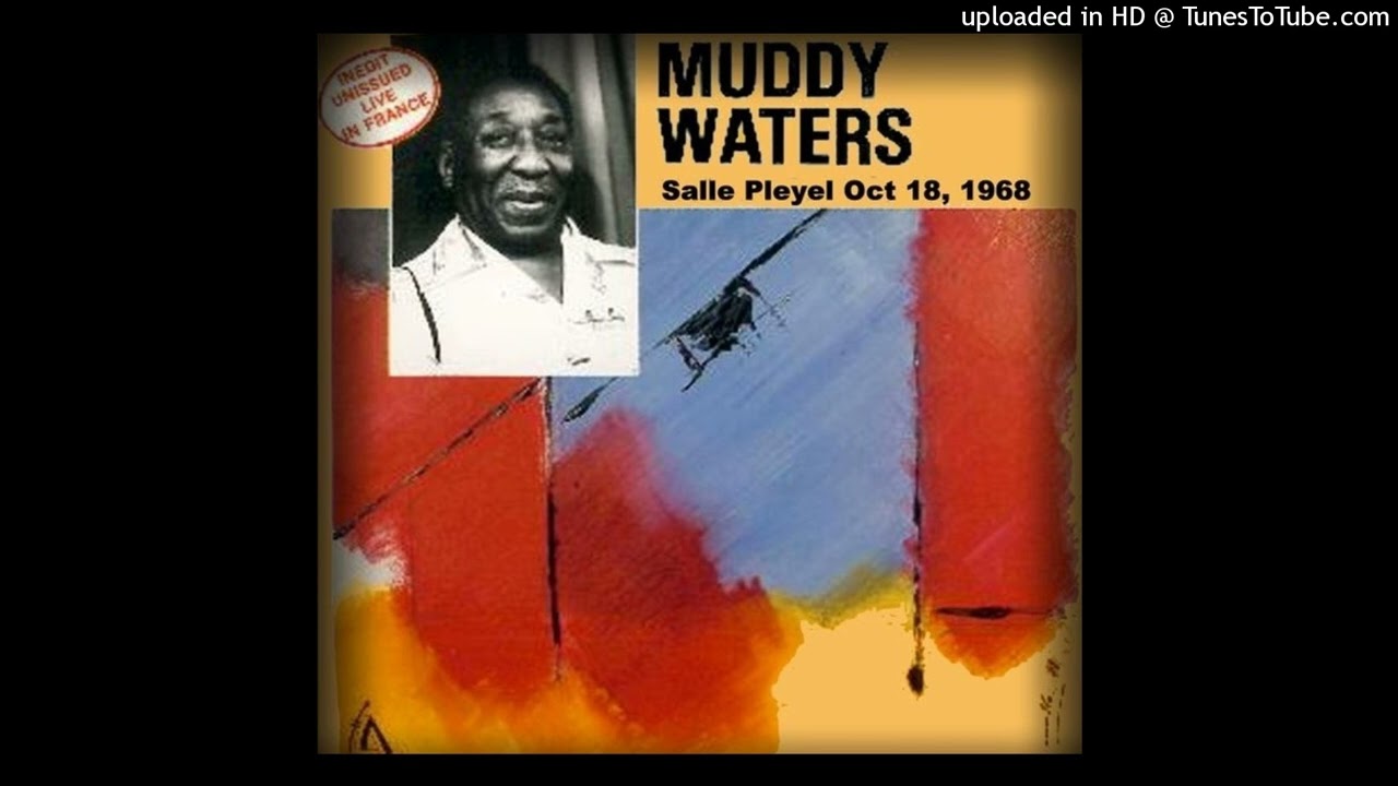 Blow Wind Blow   -  Muddy Waters Live Paris 1968