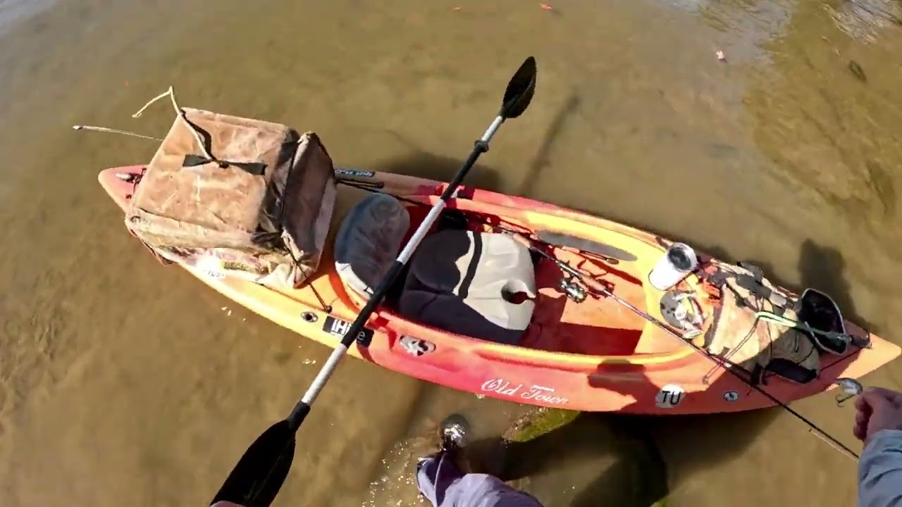 Found 6 lures and a bag full of life jackets