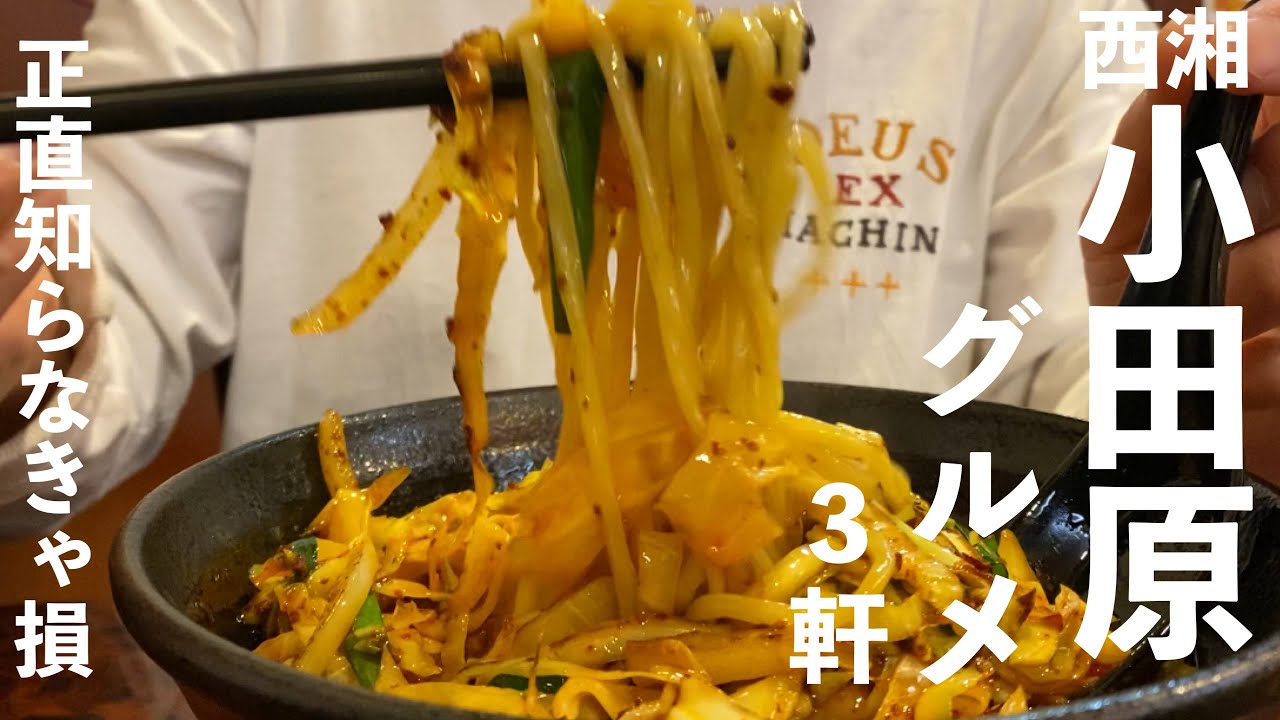 【西湘 小田原グルメ】人気急上昇中「小田原」の本当に旨いグルメ3軒｜湘南ごはん記録
