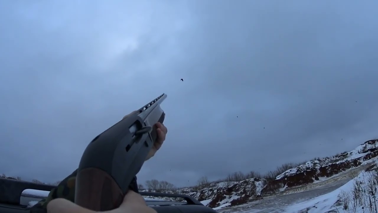 Охота на ворон с Беретта Урика