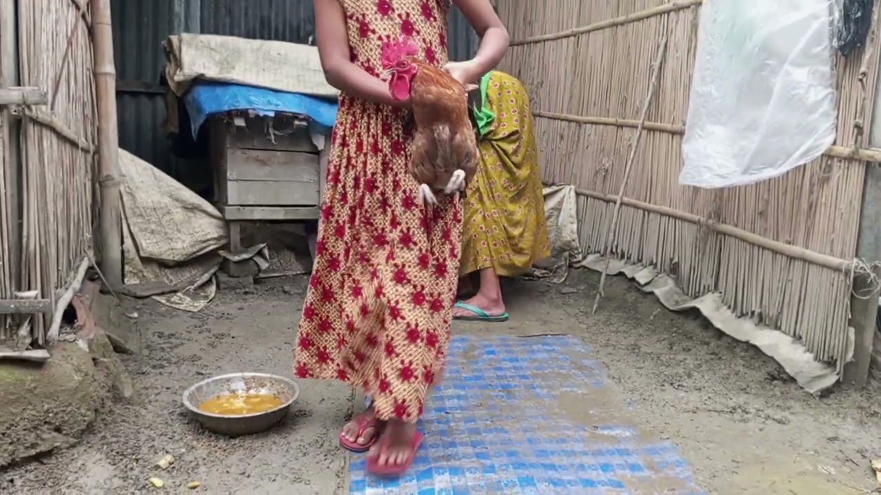মা দুইটা মোরগ রাখছে হাঁস রেখেছে জবাই করে মাংস দিয়ে মা মেয়ে ভাত খাবো মায়ের ভালো বাসার তুলনাহয় না
