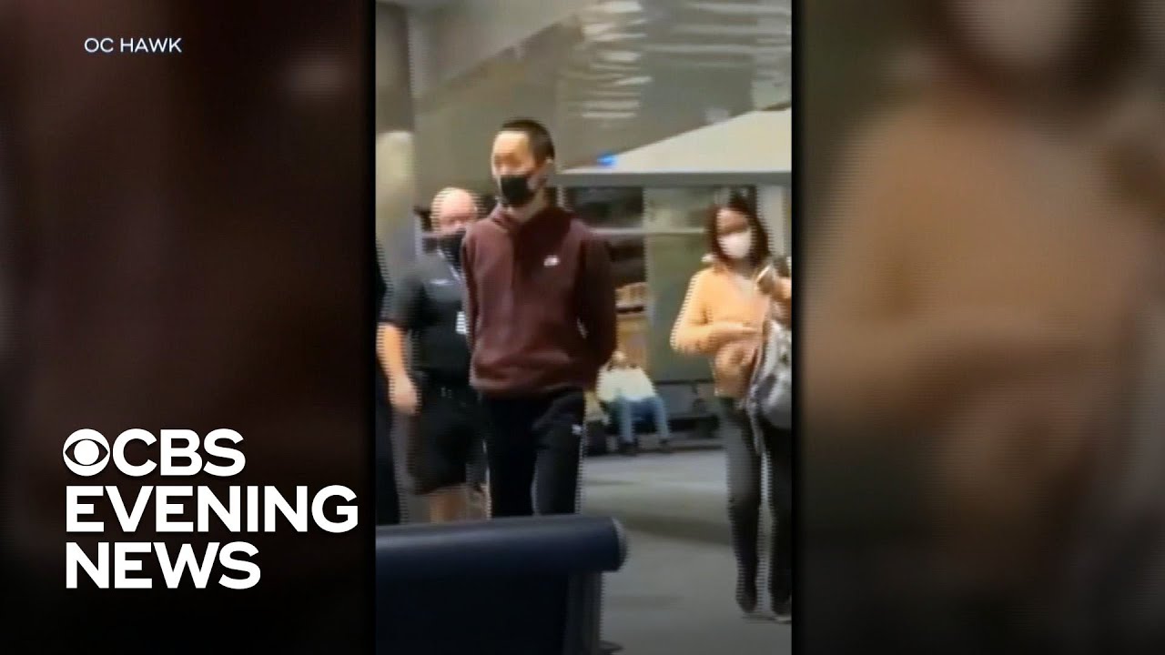 Flight diverted after passenger attacks attendant