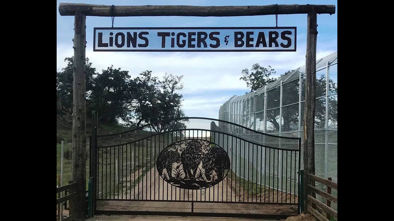 About Lions Tigers & Bears
