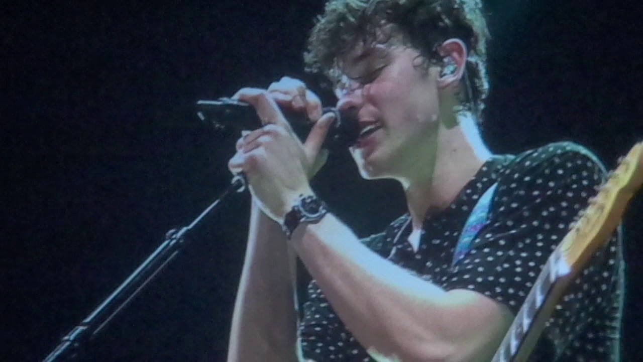 Treat You Better - Shawn Mendes at Illuminate tour Brussels 170527