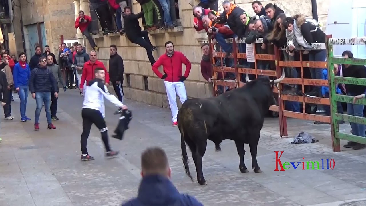 Ciudad Rodrigo 2019 Encierro del lunes