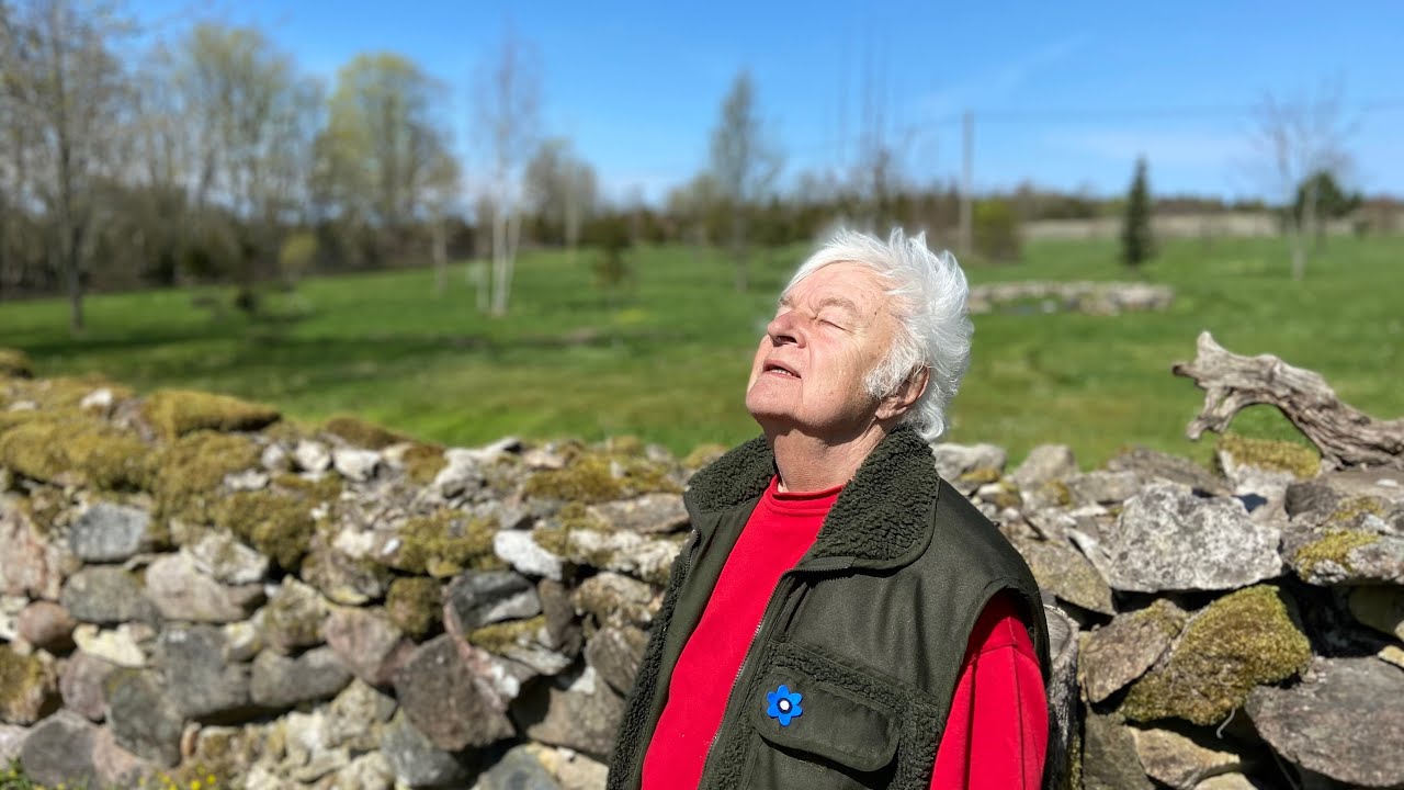 Ivo Linna ja Supernova - Elu Maal