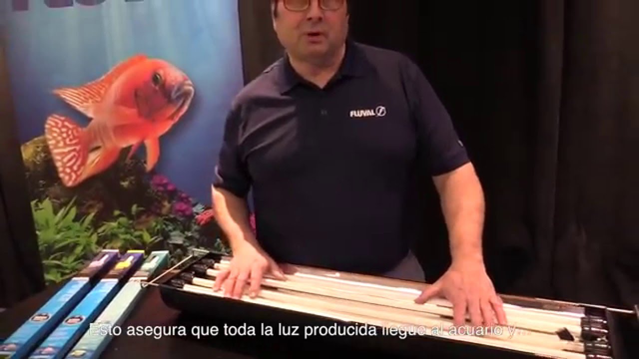 Fluorescentes para acuarios Fluval T5 HO - Subtitulado