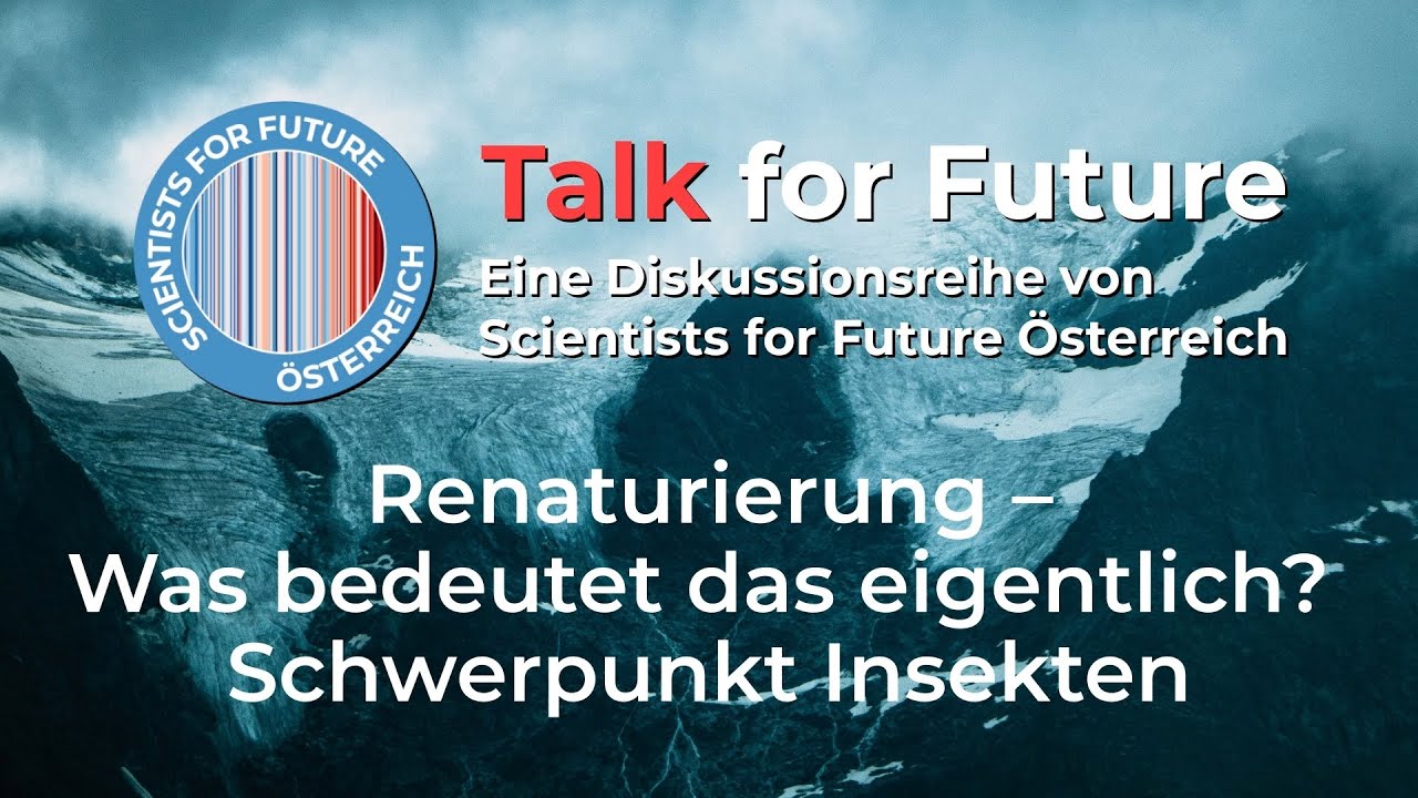 Talk4Future Renaturierung - Was bedeutet das eigentlich? - Schwerpunkt Insekten
