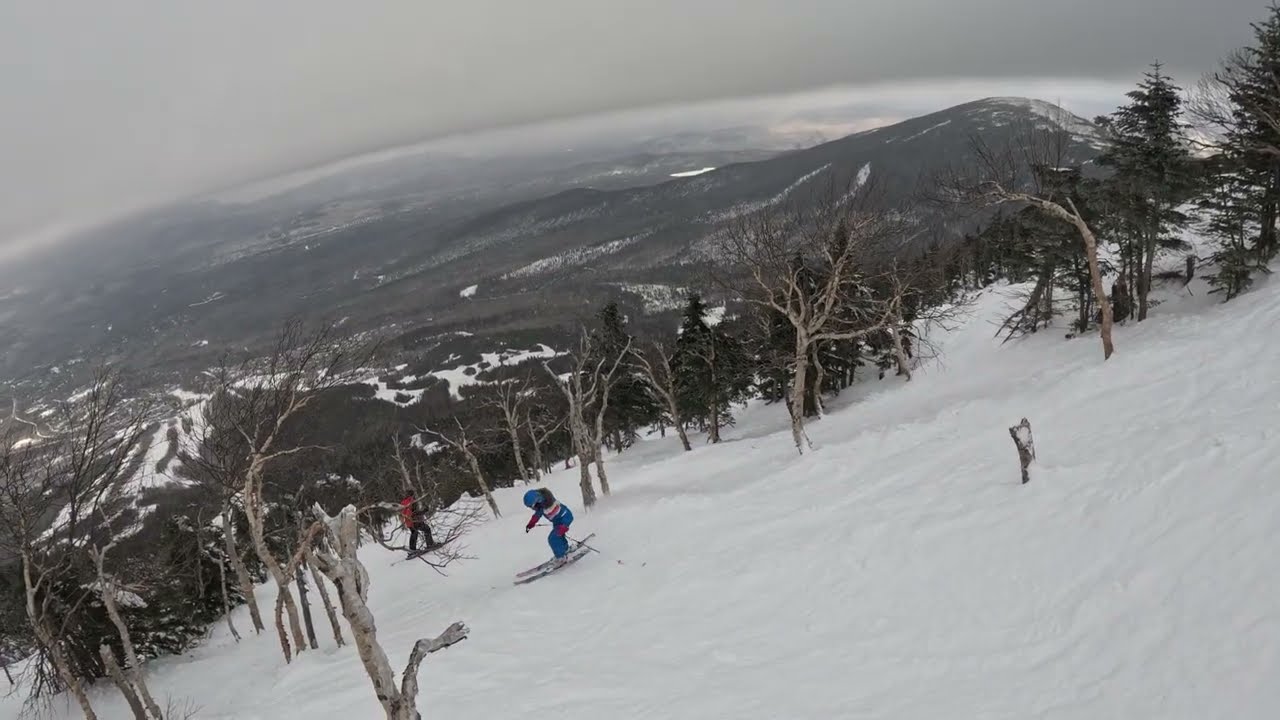 Gondi Glade-Sugarloaf 2-14-26