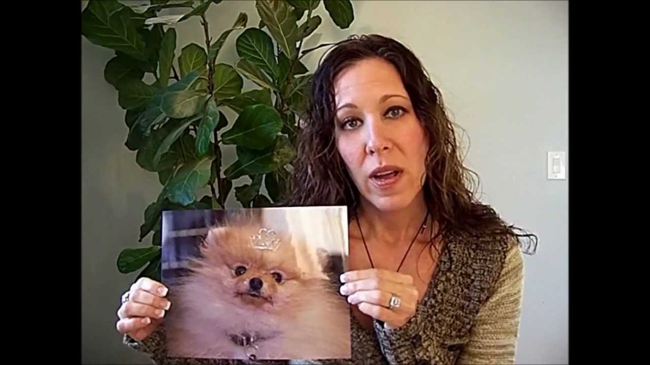 Adopters of Devocalized Dogs Speak Out
