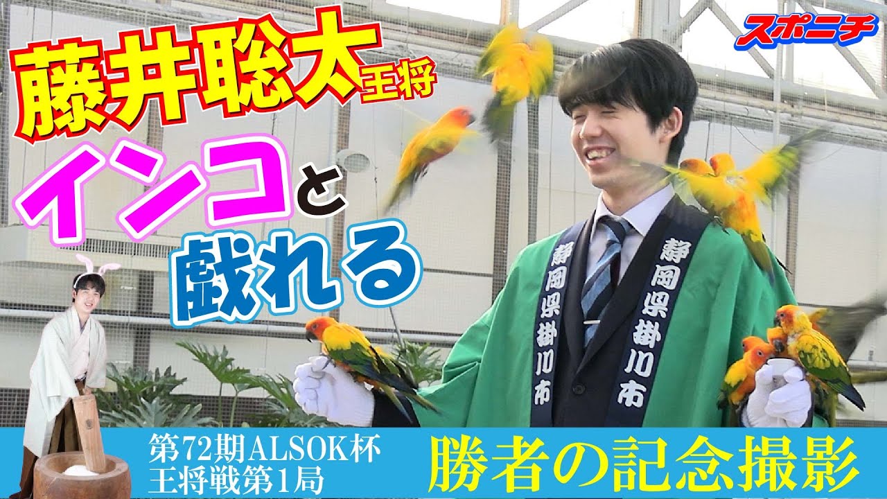 王将戦名物【勝者の記念撮影】舞台裏。藤井聡太王将、インコと戯れる【第72期ALSOK杯王将戦第１局】