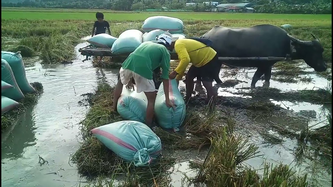 @Ep.285**Trabaho pra sa pamilya ang kita