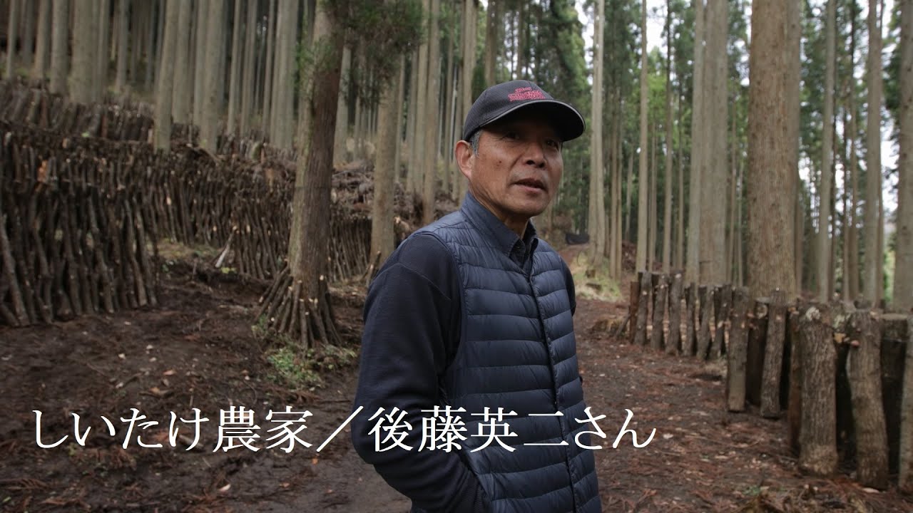 竹田シティプロモーション第八弾 後藤さん／しいたけ農家