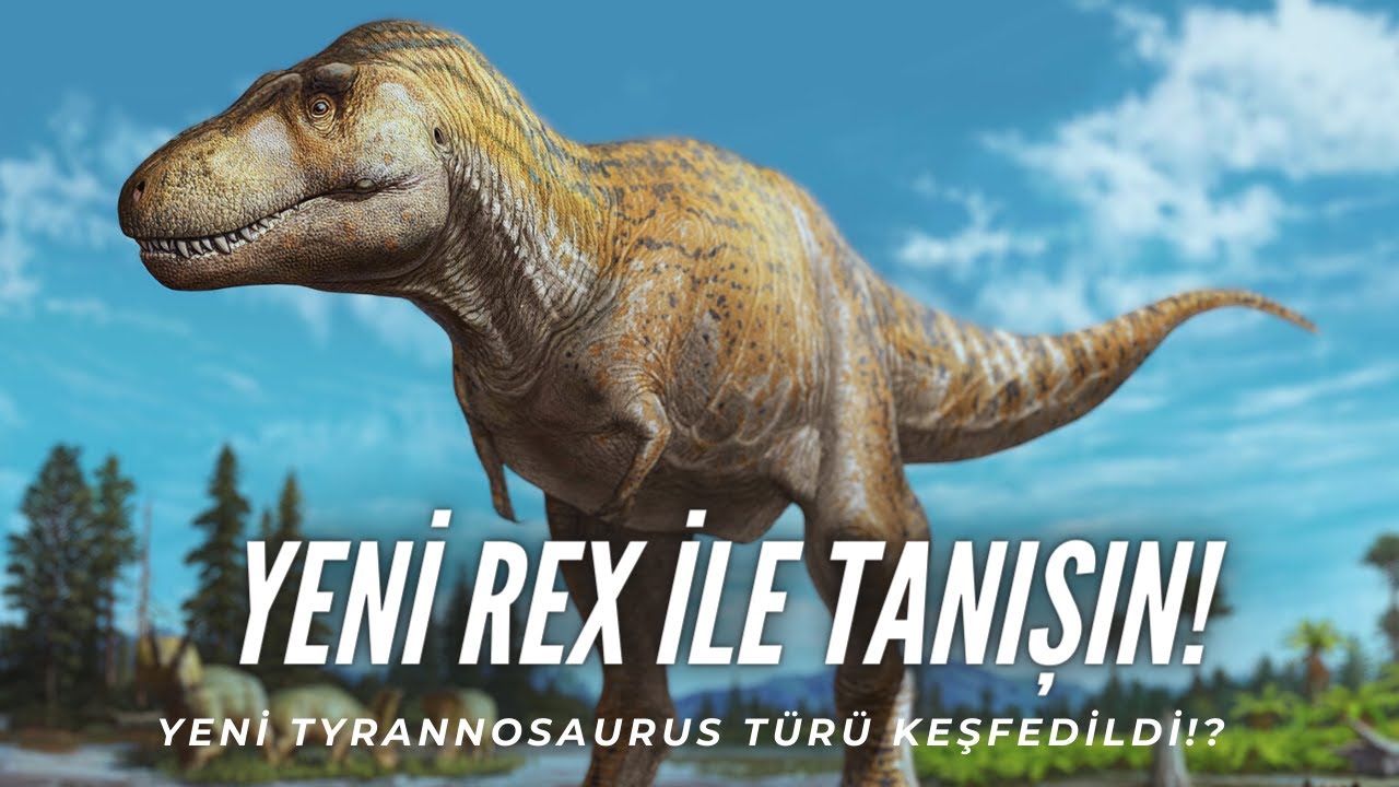 Yeni Tyrannosaurus Türü Keşfedildi!