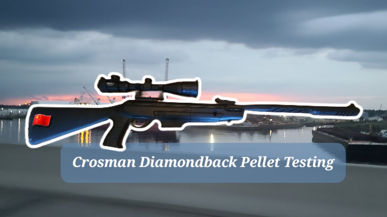 Crosman Diamondback Pellet Testing: 8 Pellets, 20 yards, Off-hand