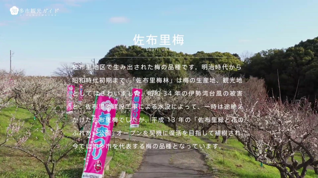 知多市佐布里池梅まつり