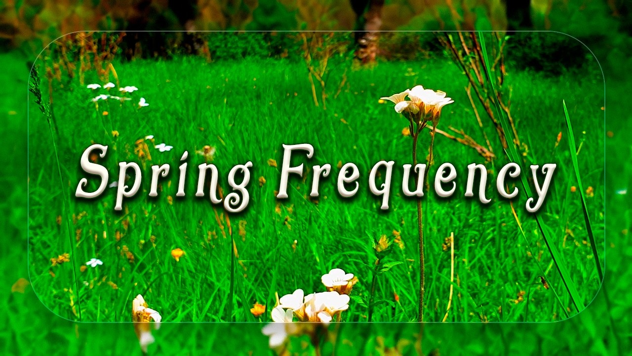🌼Begin Your Day with POSITIVE ENERGY of Healing Spring Frequency 🌼 Fresh Morning Ambience Meditation