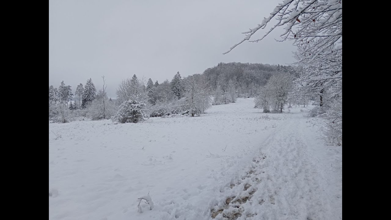 🇩🇪  Schnee liegt auf der Munterley...