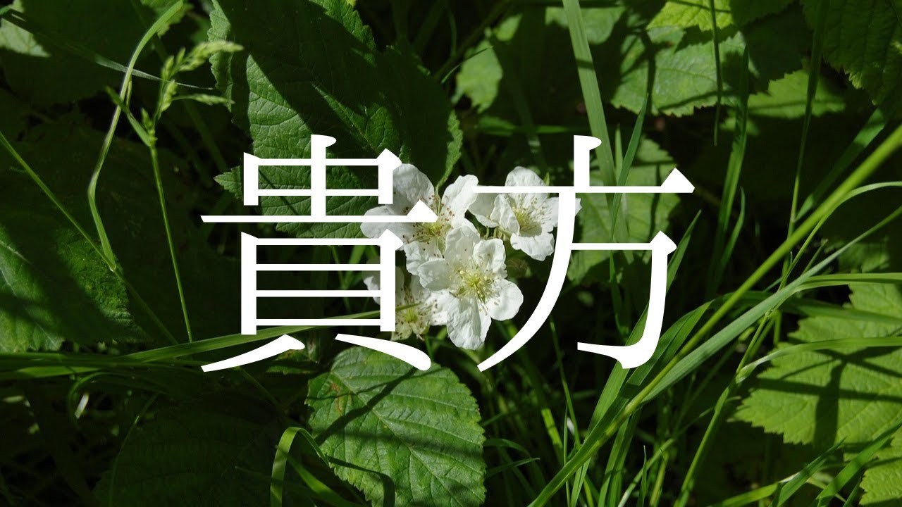 ナミキ - 貴方 (オリジナル曲)