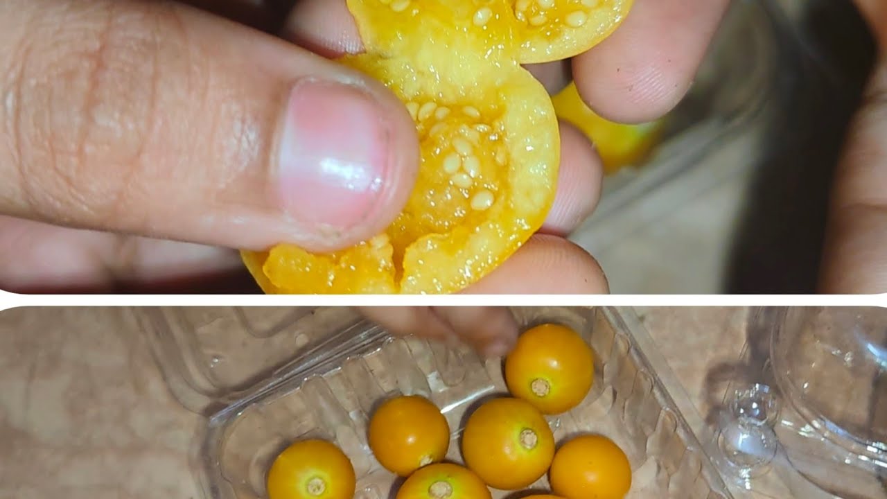 Cape Gooseberry Unboxing Review in Tamil #kedakavispecial #capegooseberry