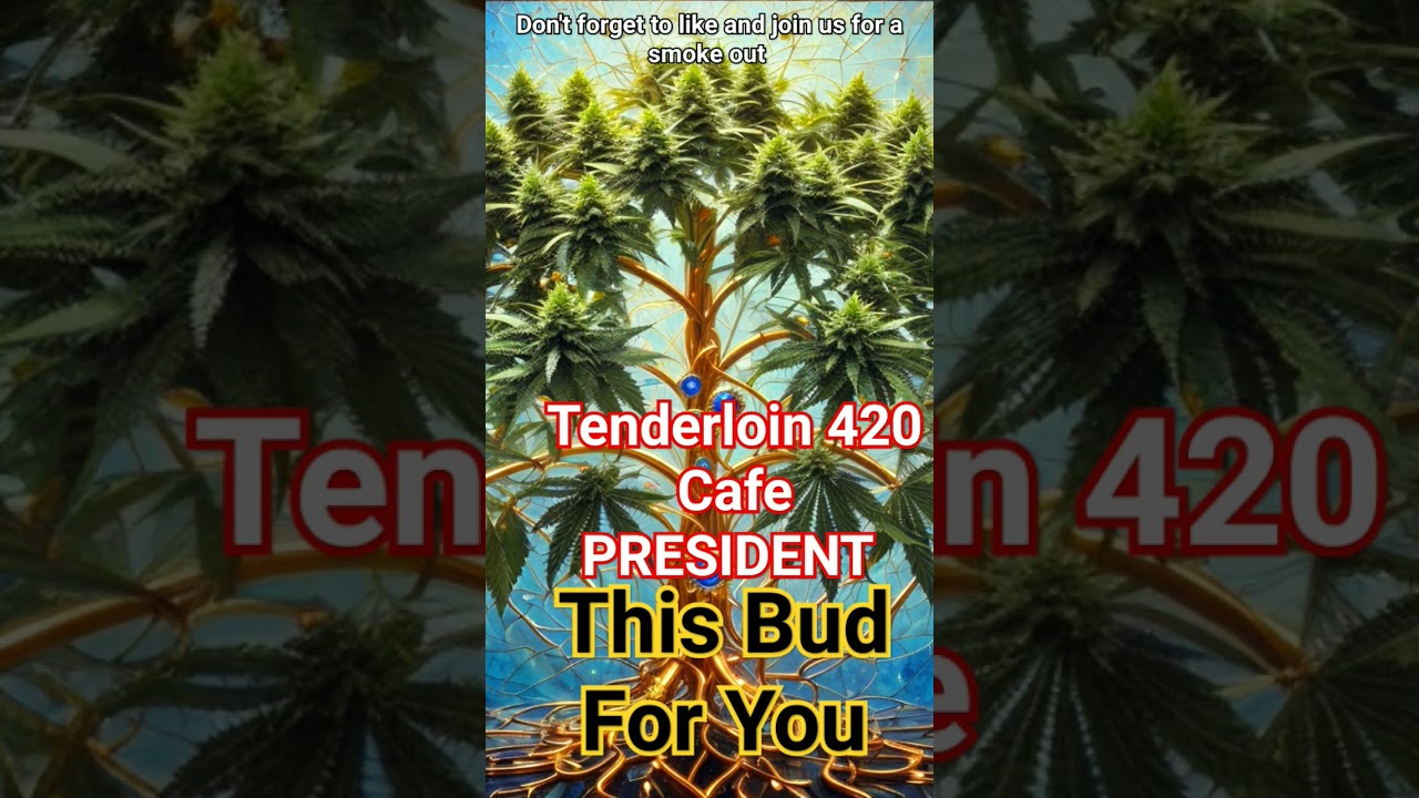 Marijuana Art Welcome to the Tenderloin Bud 420 Cafe #pot #budstrains  #hydroponics #buds #marijuana