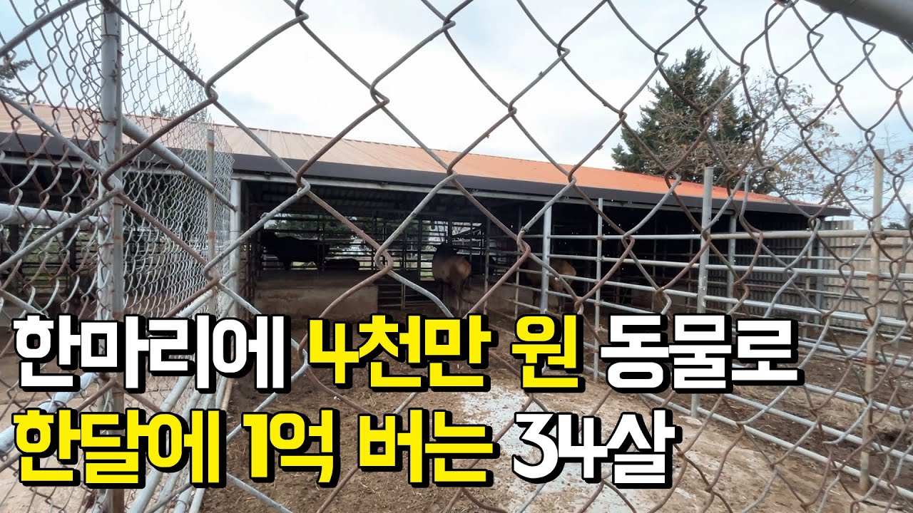 호랑이보다 비싼동물 키워 한달에 1억 버는 34살ㅣ휴먼스토리ㅣ직업의모든것ㅣ30대자영업자이야기