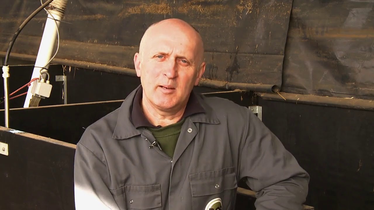 Preparation - Preparing a Straw Building for Pigs | AHDB