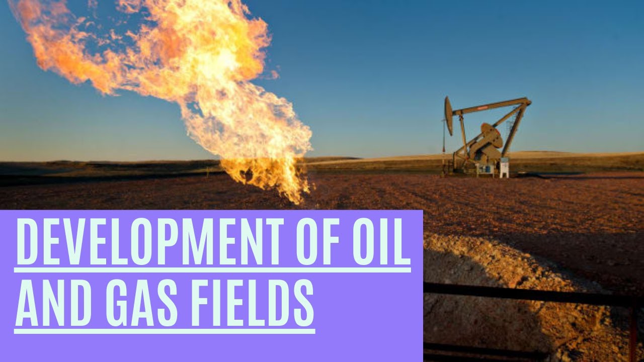 energy economist | Development of Oil and Gas Fields