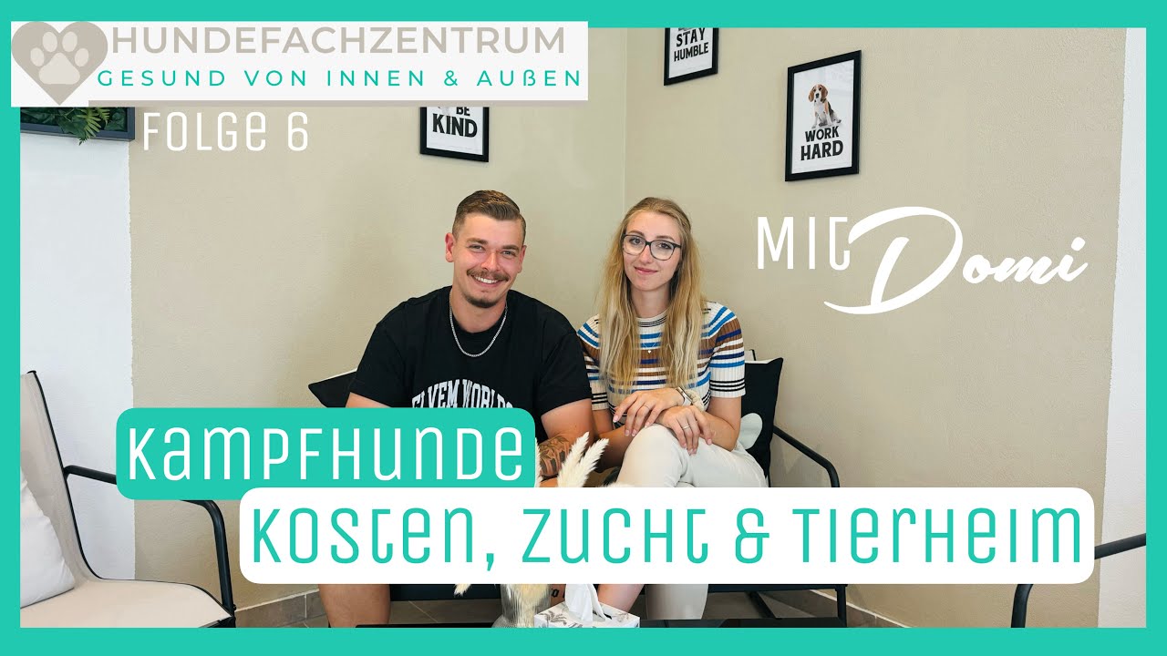 #6Folge Kampfhunde / Listenhunde Kosten, Zucht & Tierheim / Rottweiler, Cane Corso, Dobermann, ...