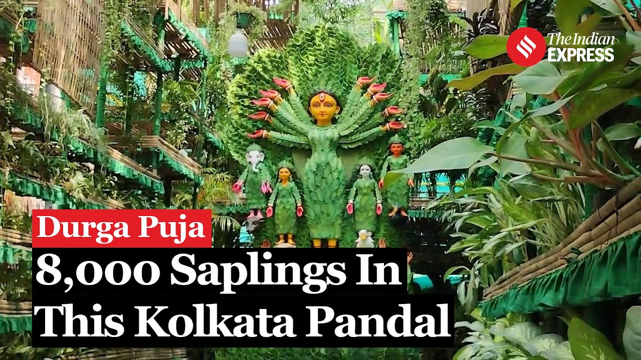 This Durga Puja In Kolkata Appeals To Save The Environment By Making Pandal With 8000 Saplings