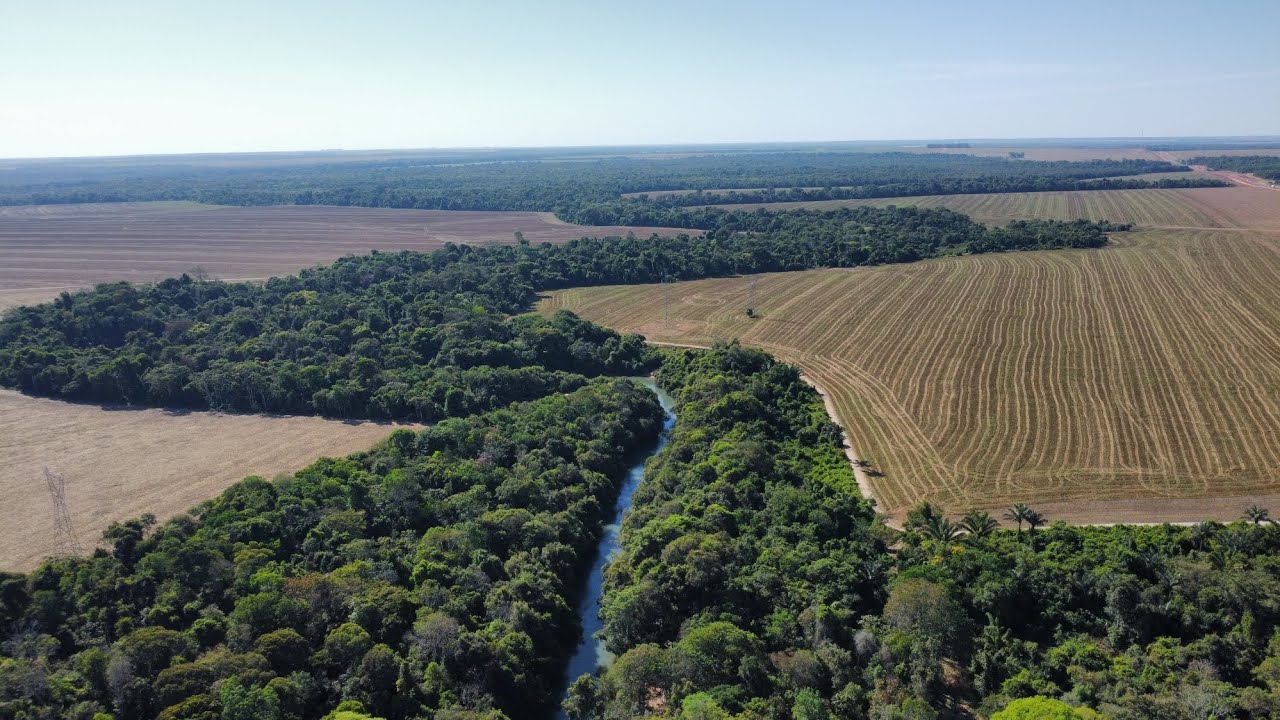 Trevo de Vera Mato Grosso