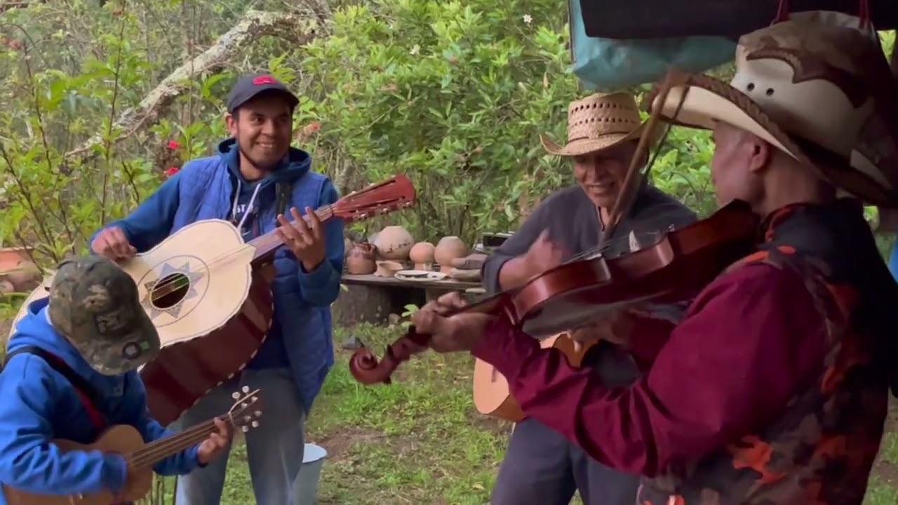 LOS ORIGINALES DE GUERRERO, un concierto ,#parati #fypシ゚viral#musica #musicatradicional