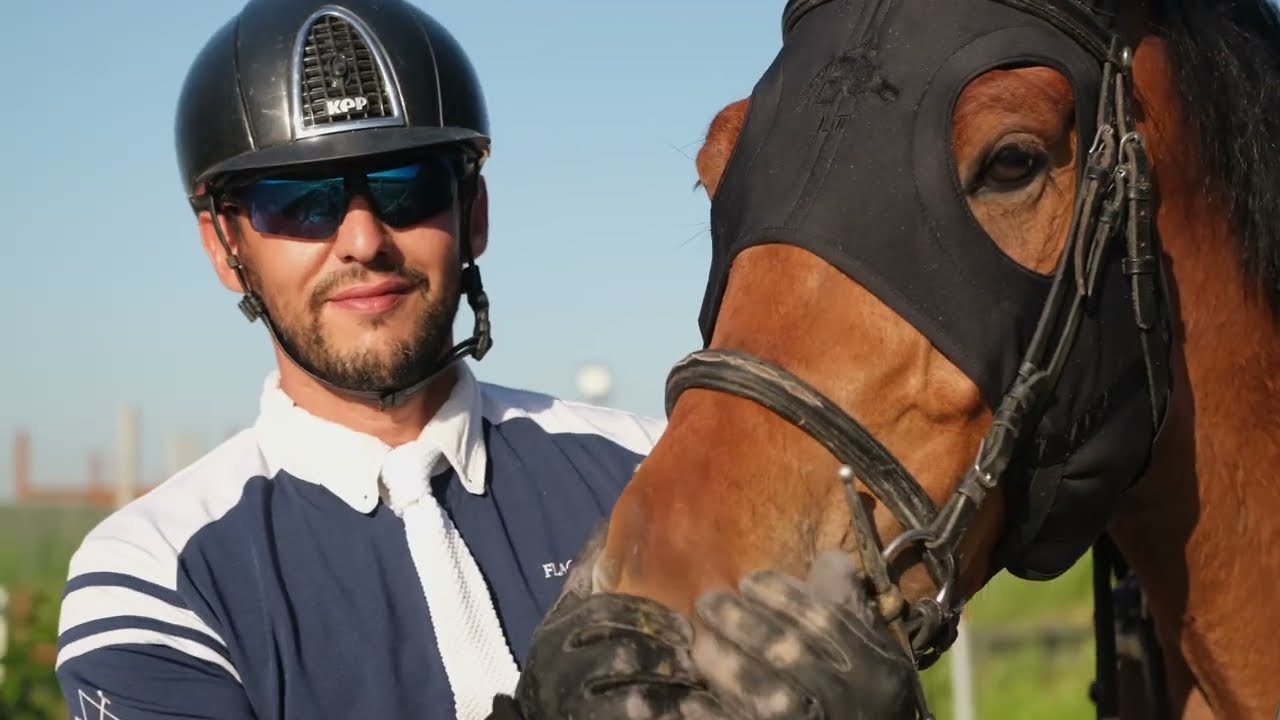 Algérie, Tipaza Haras Elegance élevage de chevaux de sports